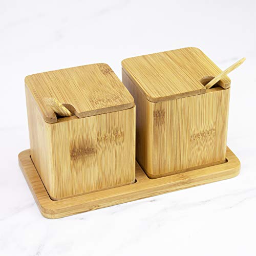  Double Dipper Two Salt Boxes With Spoons And Tray, 6 Ounce Capacity Each