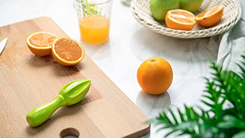  Handheld Citrus Reamer With Rounded Comfort Handle, Durable And Non-BPA Melamine (1.6" By 5.65", Kiwi Color)
