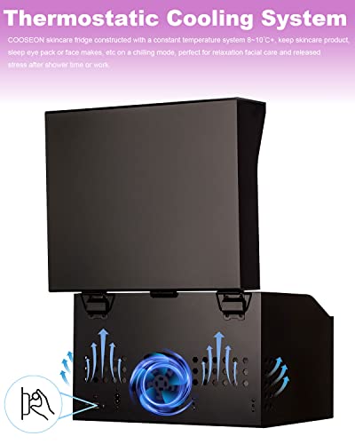  Acrylic Skincare Fridge 10 Liter With Adjustable HD Mirror Light Thermostatic Mini Beauty Fridge With Removable Divider Shelf, Cosmetic Fridge For Makeup, Bedroom, Office, Room