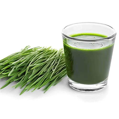  Uper Juicer - Model SB0850 - Commercial Wheatgrass Juice Extractor - Heavy Duty, Stainless Steel Wheat Grass Juice Machine