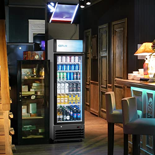  Commercial Merchandiser Refrigerator With LED Lighting Single Glass Door, 9.0 Cu Ft Upright Display Beverage Cooler With Extra Shelves Drink Holders, ETL NSF Approved
