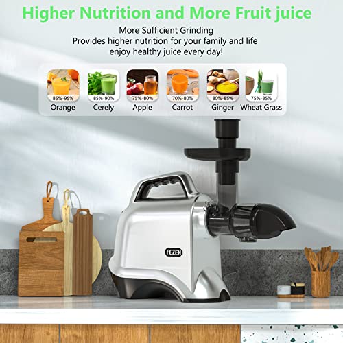  EZEN Slow Masticating Juicer For Cold Press, Easy To Clean & Use, Celery Juice Extractor, Wheatgrass Juice Extractor, High Juice Yield & Fresh Taste (Silver)