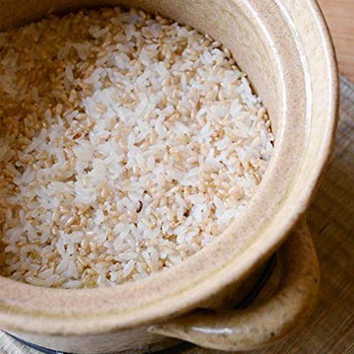  Japanese Donabe Cocer Rice Cooking Pot, 3 Go, 2200cc, White