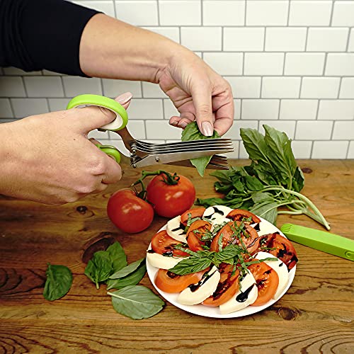  (SNIP) Stainless Steel 5 Blade Herb Scissors, Green/White | Cut, Chop, Mince & Snip Herbs | Easy & Safe To Store | Use With Basil, Thyme, Parsley & More | Dishwasher Safe