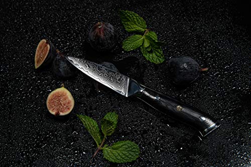  Paring Knife- 3.5 Inch - Damascus Japanese- VG10 Super Steel 67 Layer High Carbon Stainless Steel- Razor Sharp, Stain & Corrosion Resistant, Awesome Edge Retention