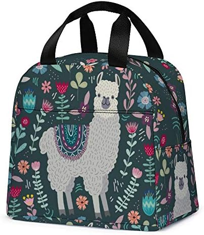  Lunch Bag, Cute Kids Reusable Cooler Lunch Tote Bag Insulated Leakproof Lunch Box Container With Front Pocket For Girls Boys School Work Picnic (Teal Cat)