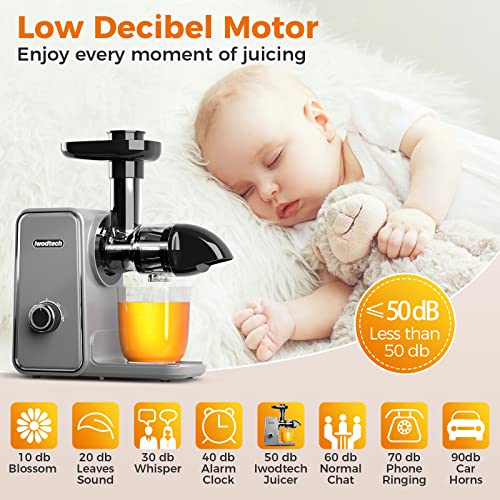  Slow Masticating Juicer, IWODTECH Juicer Machine With 2-Speed Modes, Easy-to-clean Cold Press Juicer With Silent Motor And Reverse Function, With 2 Cups（Galaxy Grey）