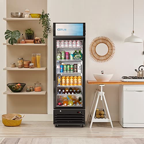  Glass Door Merchandiser Refrigerator With LED Lighting, 12.5 Cu.ft Commercial Beverage Cooler, Extra Adjustable Shelves And Drink Organizers, ETL NSF Approved