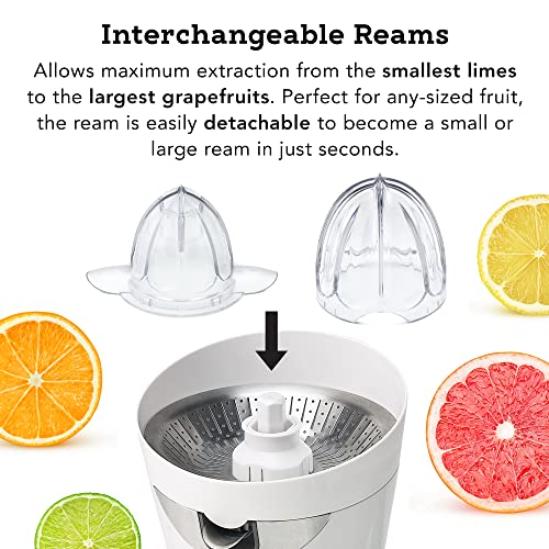  CitriStar CS-1000 Citrus Juicer, Electric Juicer For Oranges And Lemons With Stainless Steel Strainer And Spout White