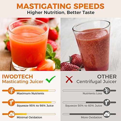  Slow Masticating Juicer, IWODTECH Juicer Machine With 2-Speed Modes, Easy-to-clean Cold Press Juicer With Silent Motor And Reverse Function, With 2 Cups（Galaxy Grey）