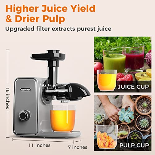  Slow Masticating Juicer, IWODTECH Juicer Machine With 2-Speed Modes, Easy-to-clean Cold Press Juicer With Silent Motor And Reverse Function, With 2 Cups（Galaxy Grey）