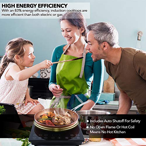  Pro Chef Induction Cooktop, Commercial-Grade, Portable, Powerful 1800W, Large 8” Heating Coil, 94 Temp Settings 100°F - 575°F In 5°F, Shatter-Proof Ceramic Glass Surface