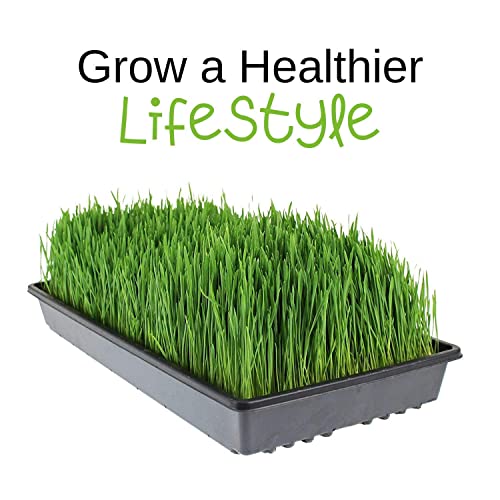  Uper Juicer - Model SB0850 - Commercial Wheatgrass Juice Extractor - Heavy Duty, Stainless Steel Wheat Grass Juice Machine