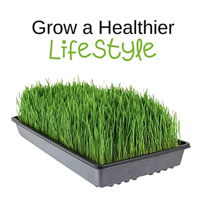  Uper Juicer - Model SB0850 - Commercial Wheatgrass Juice Extractor - Heavy Duty, Stainless Steel Wheat Grass Juice Machine