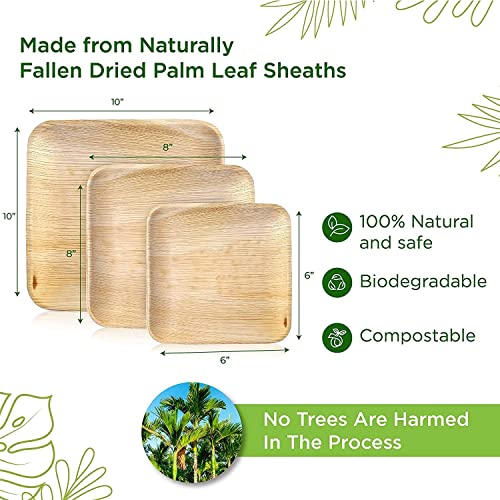  Palm Leaf Plates - Like Bamboo Plates Disposable - Compostable, Biodegradable & Eco Friendly - Appetizer & Dessert Plates For Party - Better Than Paper Plates (40, 6” Square Plates)