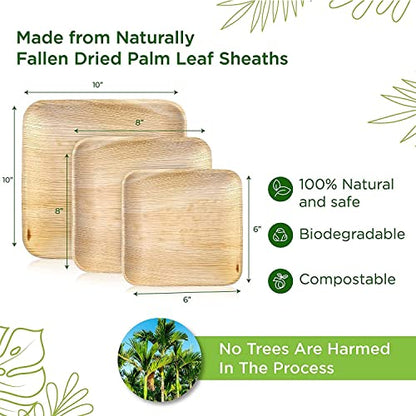 Palm Leaf Plates - Like Bamboo Plates Disposable - Compostable, Biodegradable & Eco Friendly - Appetizer & Dessert Plates For Party - Better Than Paper Plates (40, 6” Square Plates)