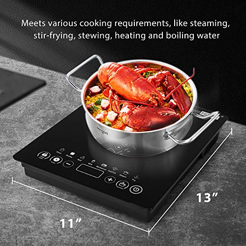  120V 1800W Electric Portable Induction Cooktop With 8 Preset Buttons, Sensor Touch Countertop Burner With 180-Min Countdown Timer And 0-24H Timing Start, 140-460℉ Temperature Adjustable