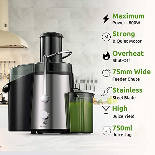  Juicing Machine, 3-inch Width Feeding, Easy Cleaning