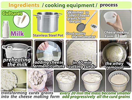  3 Pcs Basic Cheese Mold Soft Sorts Of Cheese 10 Oz (300 Mililiters)