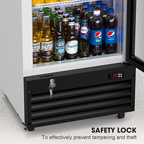  Glass Door Merchandiser Refrigerator With LED Lighting, 12.5 Cu.ft Commercial Beverage Cooler, Extra Adjustable Shelves And Drink Organizers, ETL NSF Approved