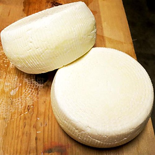  Thermophilic Direct Set Cheese Culture, 5-Pack
