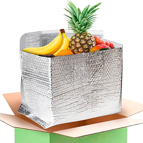  Foil Insulated Box Liners 11 X 8.5 X 5.5 Inch, Pack Of 10 Insulated Shipping Boxes For Frozen Food, Double-Layer Insulated Shipping Containers, Leakproof Cold Shipping Boxes For Frozen Fish, Meat