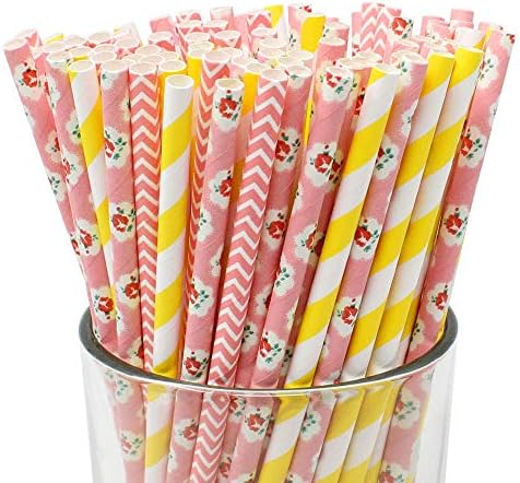  Premium 100pcs Disposable Drinking Paper Straws (Lemonade Stand)