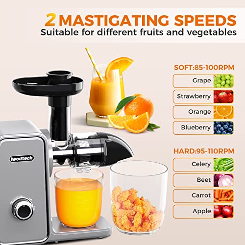  Slow Masticating Juicer, IWODTECH Juicer Machine With 2-Speed Modes, Easy-to-clean Cold Press Juicer With Silent Motor And Reverse Function, With 2 Cups（Galaxy Grey）