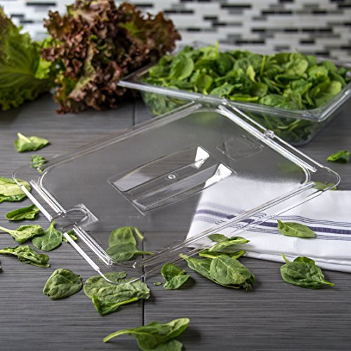  10231U07 StorPlus Half Size Polycarbonate Universal Handled Notched Food Pan Lid, Clear