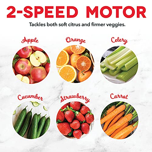 Dash Ash Compact Centrifugal Juicer, Press Juicing Machine, 2-Speed, 2" Wide Feed Chute For Whole Fruit Vegetable, Anti-drip, Stainless Steel Sieve - Cool Grey