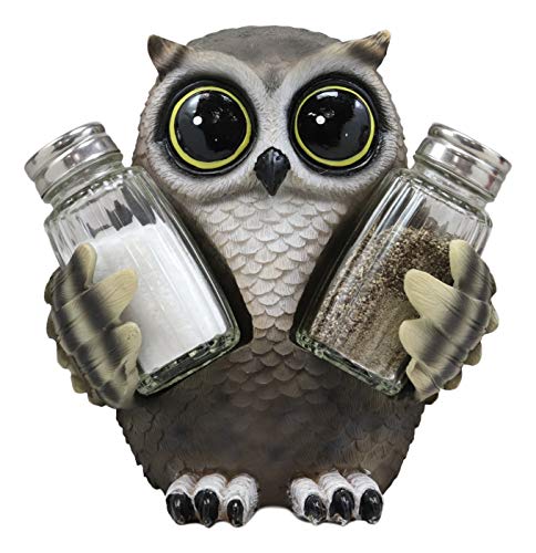  Whimsical Owlet Baby Owl With Big Round Eyes Glass Salt And Pepper Shakers Holder Display Figurine Set 6" Tall Wildlife Whispering Forest Spirit Nocturnal Birds Sculpture Home Decor Accent