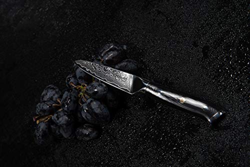  Paring Knife- 3.5 Inch - Damascus Japanese- VG10 Super Steel 67 Layer High Carbon Stainless Steel- Razor Sharp, Stain & Corrosion Resistant, Awesome Edge Retention