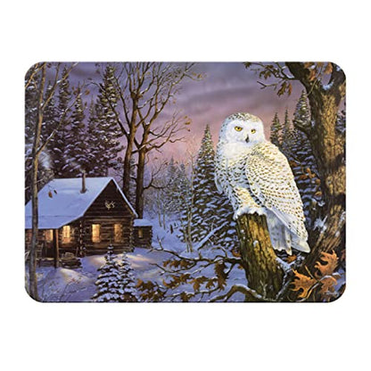  Tempered Glass Cutting Board, 12 By 16 Inches, White Owl
