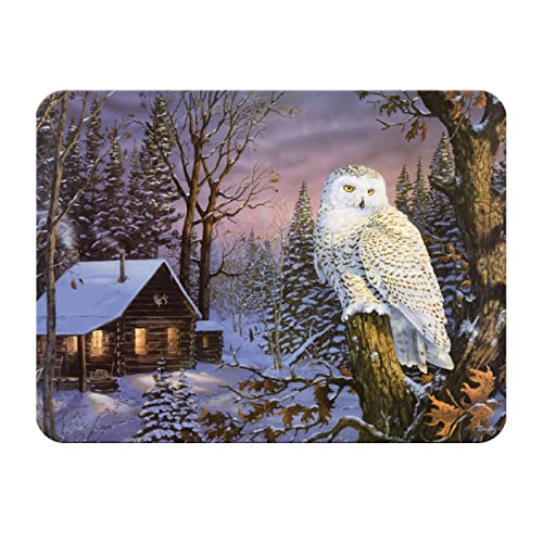  Tempered Glass Cutting Board, 12 By 16 Inches, White Owl