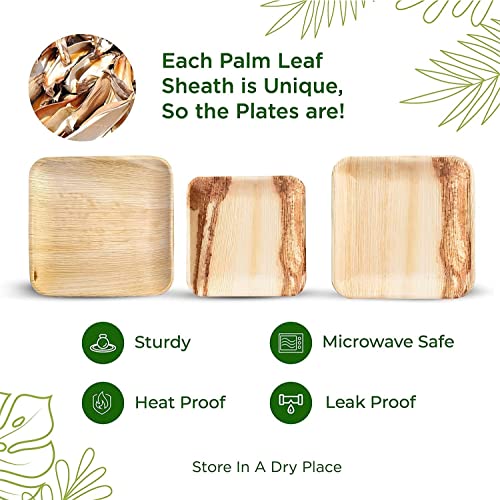  Palm Leaf Plates - Like Bamboo Plates Disposable - Compostable, Biodegradable & Eco Friendly - Appetizer & Dessert Plates For Party - Better Than Paper Plates (40, 6” Square Plates)
