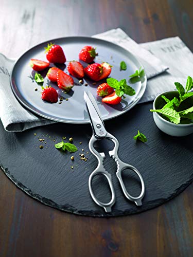 Zwilling Willing 43923-200 Classic Cooking Scissors, Satin, Stainless Steel, Kitchen Scissors, Made In Germany