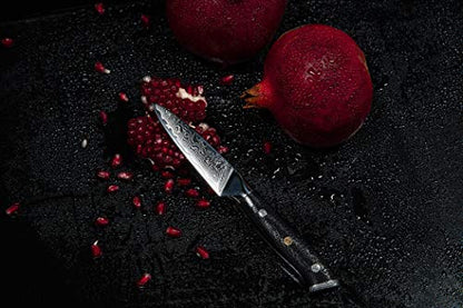  Paring Knife- 3.5 Inch - Damascus Japanese- VG10 Super Steel 67 Layer High Carbon Stainless Steel- Razor Sharp, Stain & Corrosion Resistant, Awesome Edge Retention