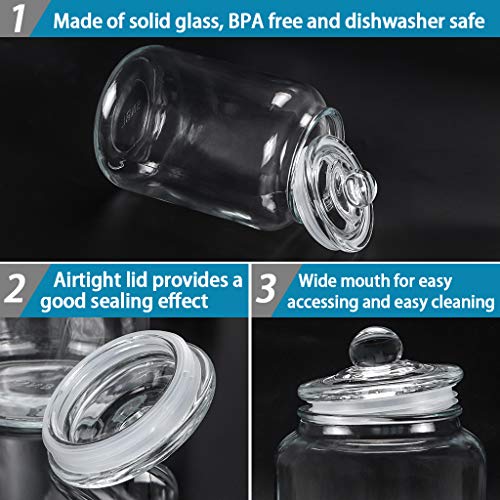  Glass Jar With Airtight Lid, Glass Canister 0.79 Gallon, Pantry Storage Container, Large Apothecary Jar For Candy, Cookie, Flour, Brown Sugar (3000ml/101oz)