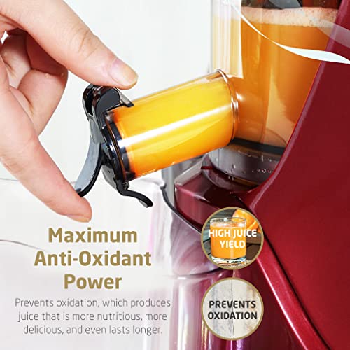  Rtical Grind Cold Press Juicer, Anti-Oxidation Wide Chute Slow Grinding Juicer With 60 RPM 240W AC Motor & Large 3” Mouth The Ultimate Fruit And Vegetable Juice Extractor (Red)