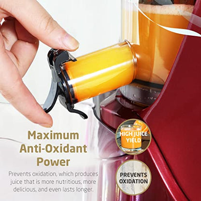  Rtical Grind Cold Press Juicer, Anti-Oxidation Wide Chute Slow Grinding Juicer With 60 RPM 240W AC Motor & Large 3” Mouth The Ultimate Fruit And Vegetable Juice Extractor (Red)