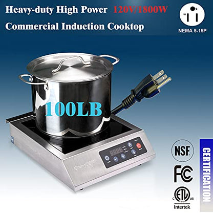  HangBERT Induction Cooktop 1800W NSF Certified Commercial Grade Durable Countertop Burner Pro Chef Professional 18/10 Stainless Steel Housing Schott Glass 10-Hour Timer
