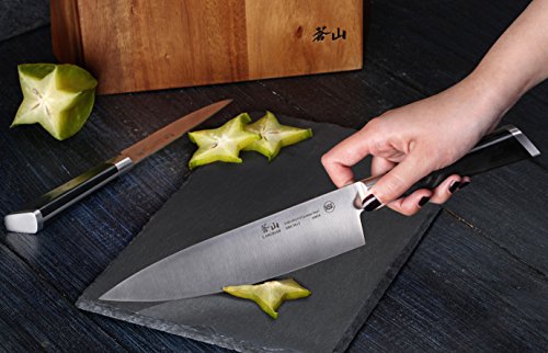  Y2 Series Knife Set, 6-Piece German Steel Block, Silver