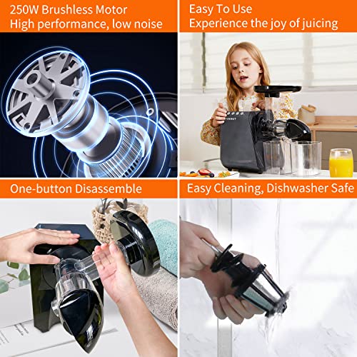  Cold Press Juicer Extractor With Reverse Function & Overheat Protection, Slow Juicer For Fruits And Vegetables, Easy To Assemble And Clean Juice Extractor With Quiet Motor & BPA Free, 2 Speed Modes