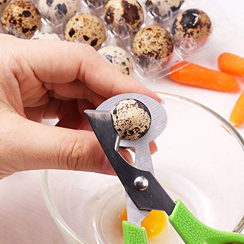  Set Of 6 Stainless Steel Green Quail Egg Shell Cutters Separator Cracker Opener Stainless Steel Blade Tool.