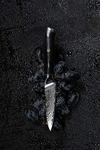 Paring Knife- 3.5 Inch - Damascus Japanese- VG10 Super Steel 67 Layer High Carbon Stainless Steel- Razor Sharp, Stain & Corrosion Resistant, Awesome Edge Retention