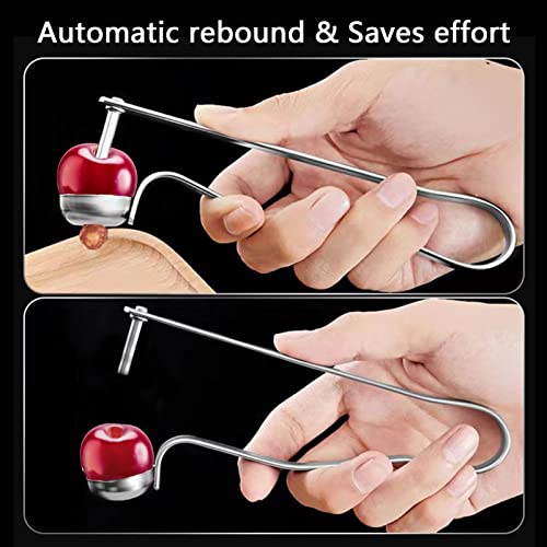  2PCS Cherry Pitter Tools, Cherry Seed Core Remover Olives Pitter Tool, Stainless Steel Cherries Corer, Great For Cherry, Jujube, Red Date, Hawthorn Or More