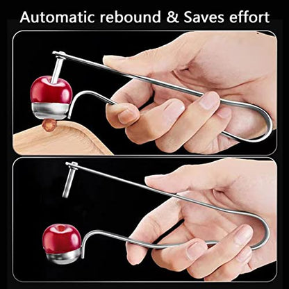  2PCS Cherry Pitter Tools, Cherry Seed Core Remover Olives Pitter Tool, Stainless Steel Cherries Corer, Great For Cherry, Jujube, Red Date, Hawthorn Or More