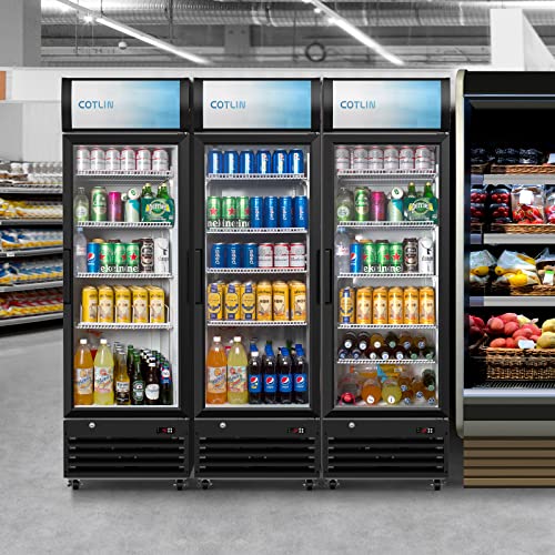  Commercial Merchandiser Refrigerator With LED Lighting Single Glass Door, 9.0 Cu Ft Upright Display Beverage Cooler With Extra Shelves Drink Holders, ETL NSF Approved