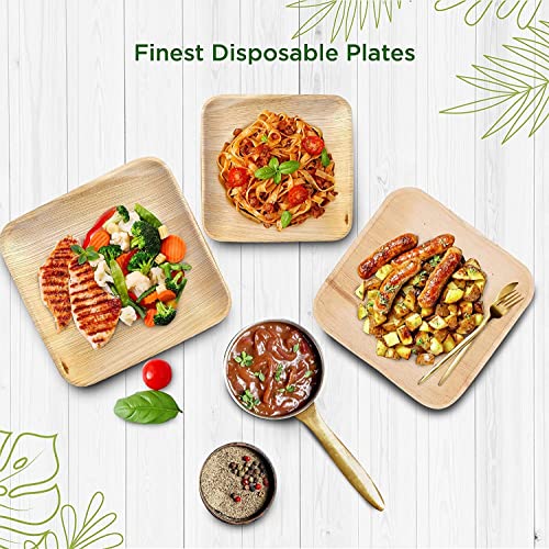  Palm Leaf Plates - Like Bamboo Plates Disposable - Compostable, Biodegradable & Eco Friendly - Appetizer & Dessert Plates For Party - Better Than Paper Plates (40, 6” Square Plates)