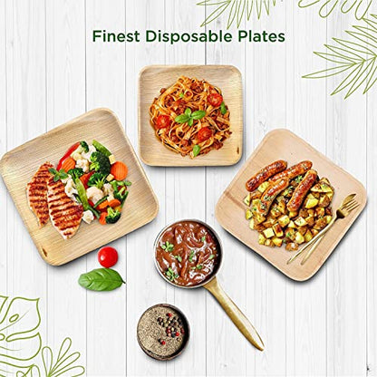  Palm Leaf Plates - Like Bamboo Plates Disposable - Compostable, Biodegradable & Eco Friendly - Appetizer & Dessert Plates For Party - Better Than Paper Plates (40, 6” Square Plates)